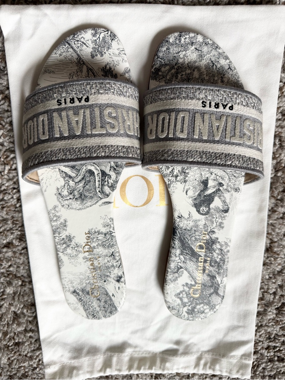 Dior Gray Toile Slide Sandals